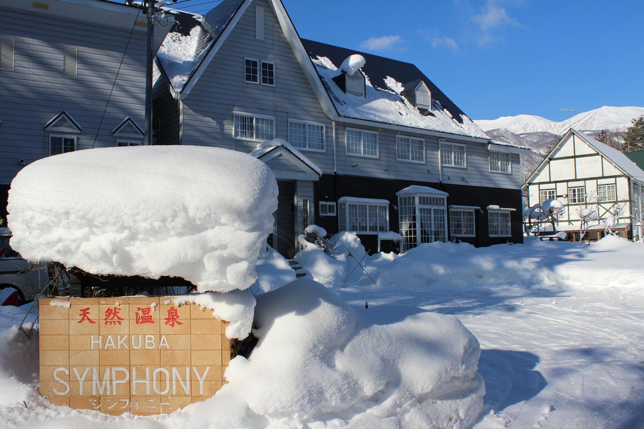 Natural Hot Spring Hakuba Symphony Bagian luar foto